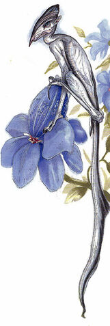 File:Dainty Creature.jpg