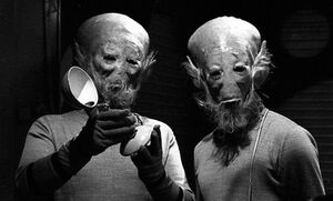 Sensorites