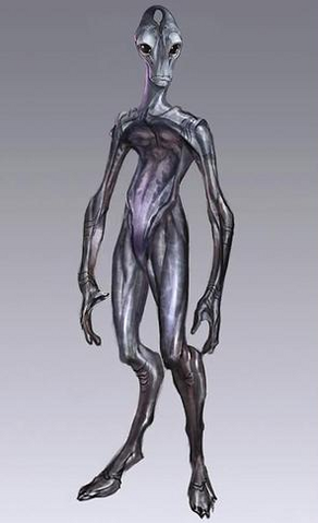 File:Salarian Concept.png