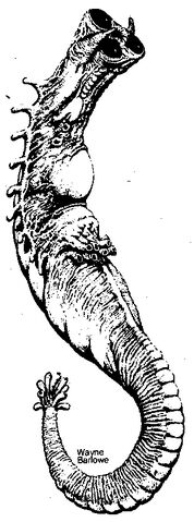 File:ETZ1.jpg