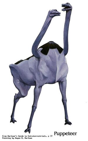 File:Puppet2.jpg