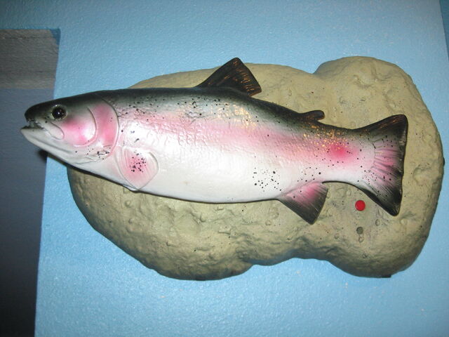 File:Travis The Singing Trout.jpg