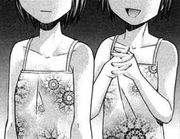 The Twins