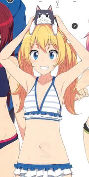 Hikari Sakurada