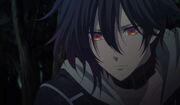 Shin