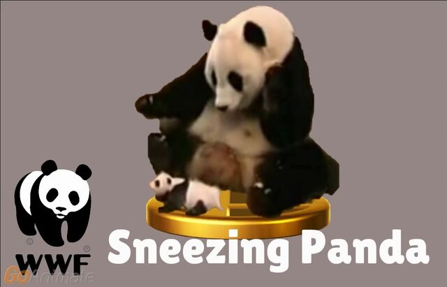 File:Sneezing Panda.jpg