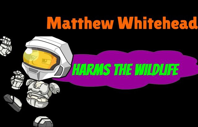 File:Matthew Intro.jpg