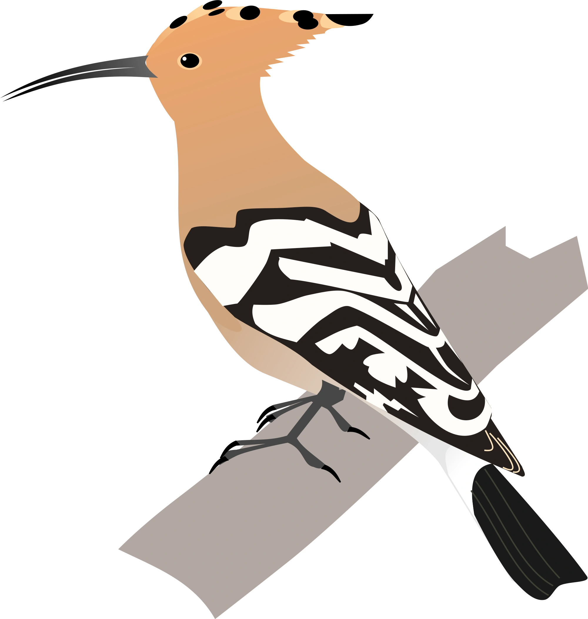 Image Hoopoe.svg.png All Birds Wiki FANDOM powered