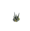 Thumbnail for version as of 15:09, March 10, 2014