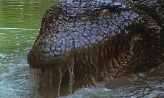 KillerCrocodile23