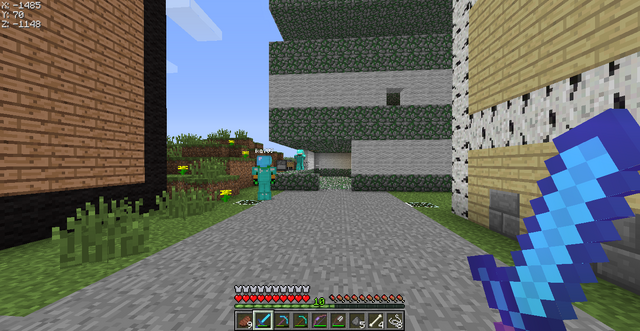 File:Griefing.png