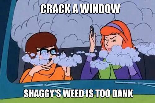 File:Shaggy-dank-bud.jpg