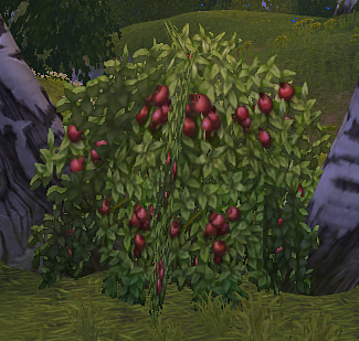 allods online evermeet isle quests Forsaken violence guild (allods ph) 69 likes community. allods online evermeet isle quests Forsaken violence guild (allods ph) 69 likes community.
