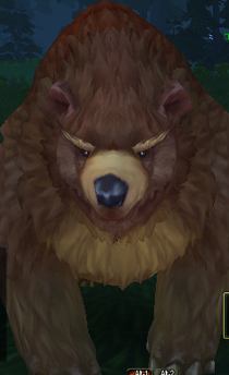 Taiga Bear