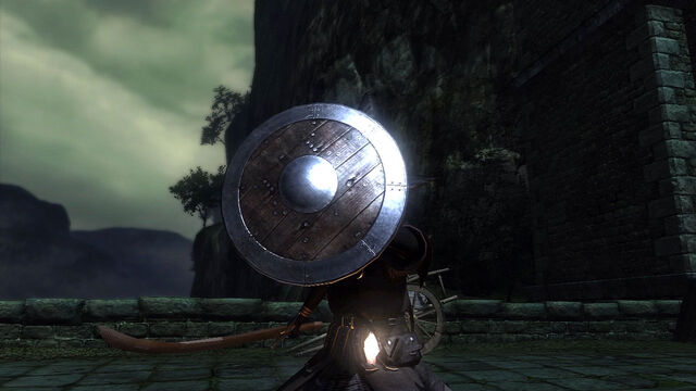 Файл:Wooden-shield-on-hand-large.jpg