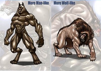 an analysis of lycanthrophy And meaning-making, which is being firmly embedded in sumi socio-cultural tradition and history lycanthropy revisited published by philemon quinker,. an analysis of lycanthrophy And meaning-making, which is being firmly embedded in sumi socio-cultural tradition and history lycanthropy revisited published by philemon quinker,.