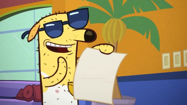 File:Cool Paw Howie (36).jpg
