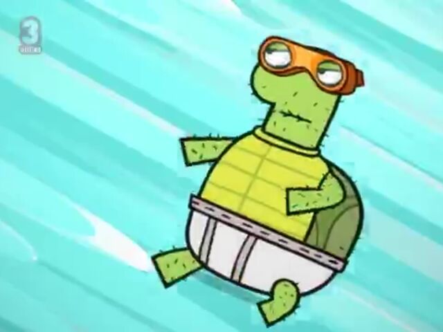 File:Flying Old Turtle.jpg