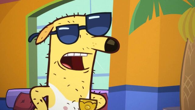 File:Cool Paw Howie (27).jpg