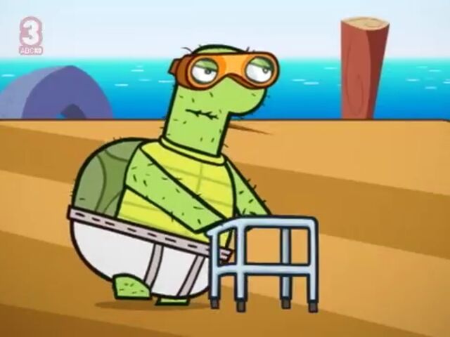 File:Old Turtle.jpg