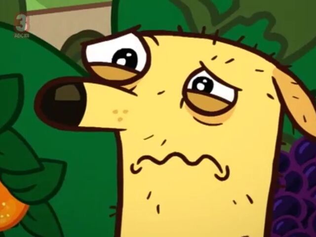 File:Howie .jpg