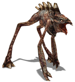 Ophtalmicid1 (1).png