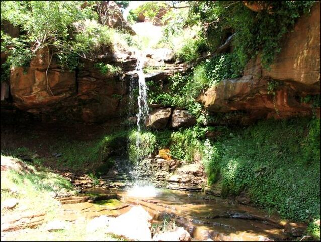 File:Image124.jpg