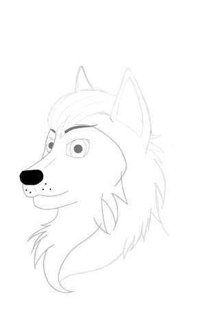File:Rough sketch.png