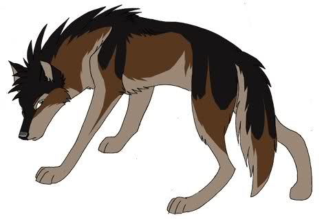 File:Wolf 1.jpg