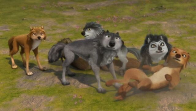 File:Wolf fight....jpg