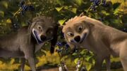 Alpha-and-Omega-Berry-Eating-Wolves