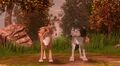 Thumbnail for version as of 11:50, October 6, 2013