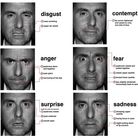 File:Rothexpressions.jpg