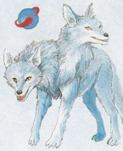 AlbinoWolf