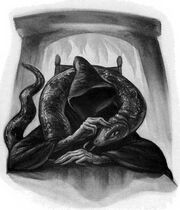 Nagini voldemort