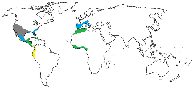 File:1550 A.D..png