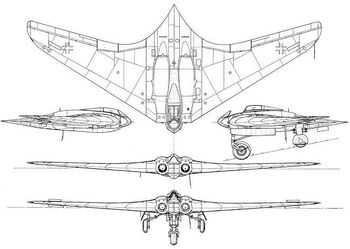 Horten 1