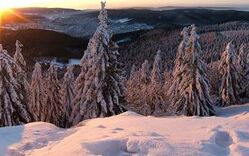 Thüringerwald