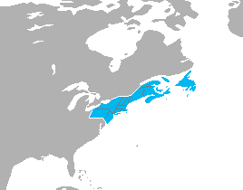 File:US Map.png