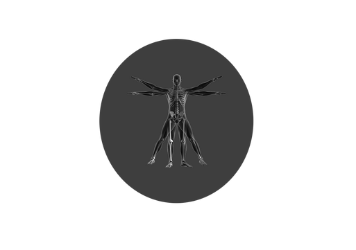 File:Untitled-1.png