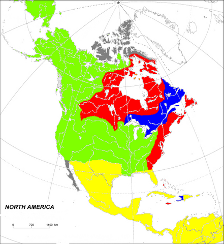 File:North America before GW1 (Toyotomi).png