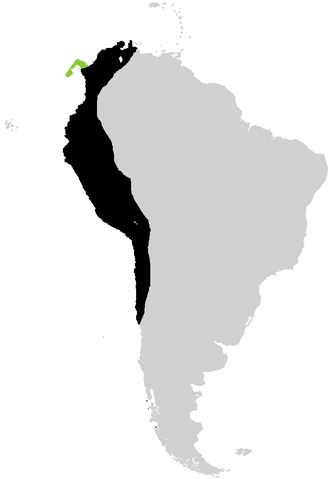 File:MapSAm.png