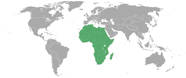 File:AfricaAA.png