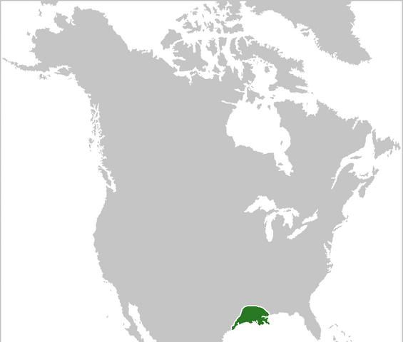 File:Jacobite Louisiana.png