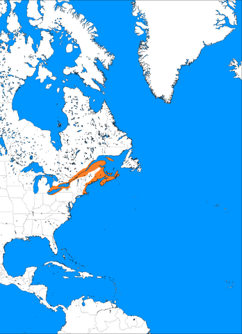 File:1250 neutral annextation and continued expansion haudensone are allowed to marry norse, massive boom, 500,000 people.png