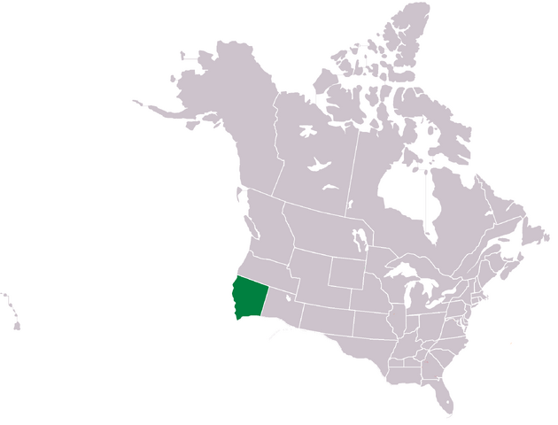 File:CNA nova albion.png