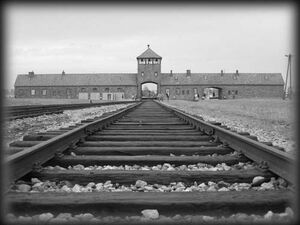 Auschwitz.jpg
