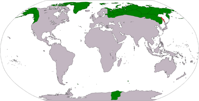 File:Medwedia SakhalinHighlight.png