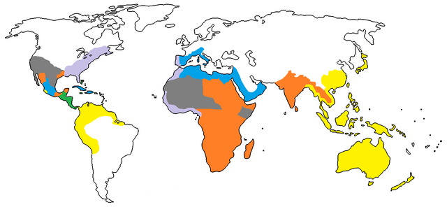 File:1850 A.D..png