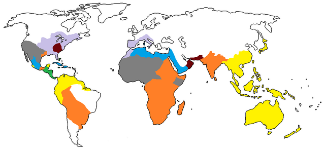 File:1960 A.D..png